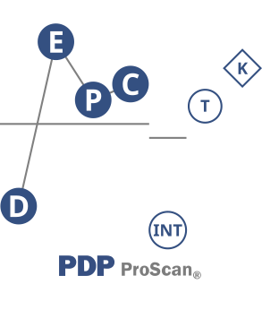 Meet the PDP Team & Join Our Team